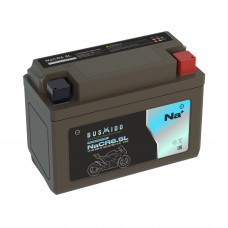 Аккумулятор Мото BUSHIDO NaCR6,5L (YB6,5L-BS, 5Ah) обр